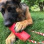 USA-K9 Firecracker Training Dummy