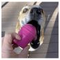 sodapup-ice-cream-cone-dog-toy-pink