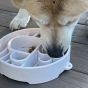 sodapup-java-white-enrichment-bowl-/-dog-bowl-perspective-view-of-a-different-dog-outside-eating-dry-food-from-the-detailed-slow-feeder-bowl