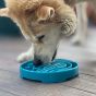 baja-design-ebowl-shallow-slow-feeder-bowl-with-blue-wave-baja-design-with-a-dog-eating-out-of-it-on-a-wooden-patio