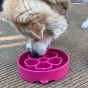 sodapup-flower-enrichment-bowl-pink-view-with-a-dog-eating-from-it
