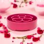 sodapup-flower-enrichment-bowl-pink-view-from-the-side-with-roses-surrounding-it