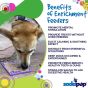 lick-mat-information-sheet