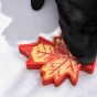 dog-licking-peanut-butter-out-of-a-maple-leaf-enrichment-chew-toy
