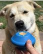 Spotnik-flying-saucer-treat-dispenser