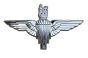 Parachute Regiment Kings Crown Issue Cap / Beret Badge