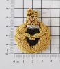 RAF Air Rank Beret Badge - tudor Crown