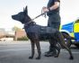 UKOM Maritime K9 Harness 