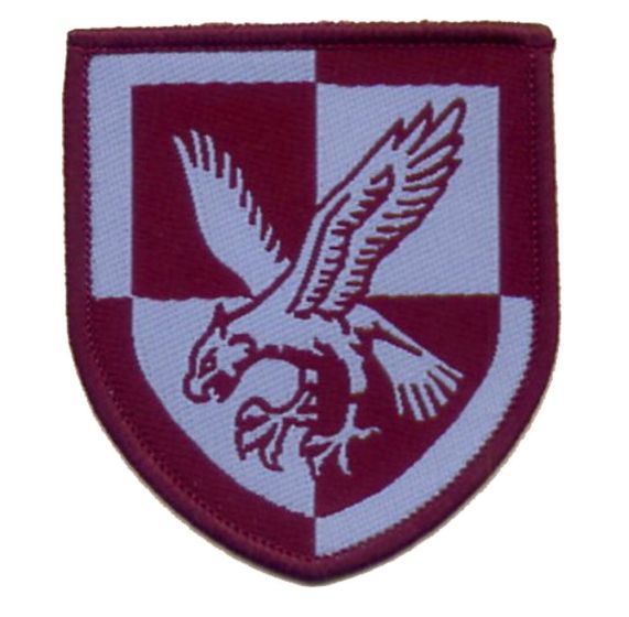 Cloth Colour Re-Enactors 16 Air Assault Brigade Patch 