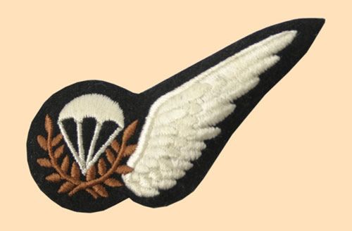 RAF Parachute Instructors Half Brevet Badge