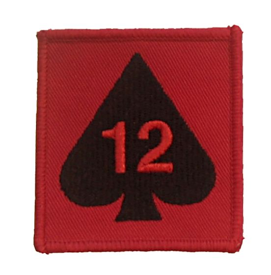 12th Armoured Infantry Brigade - TRF - Badge