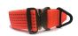 UKOM Onie Canine Safety / Glow Dog Collar 
