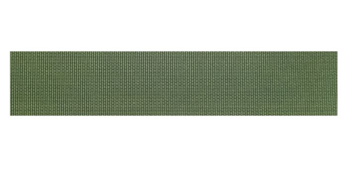 olive-green-plain-weave-webbing-strip