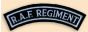 RAF Regiment Shoulder Titles (Pair)