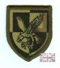 Multicam / MTP 16 Air Assualt Brigade Patch