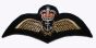 Royal Navy Fleet Air Arm Pilots Wings Badge Qualification