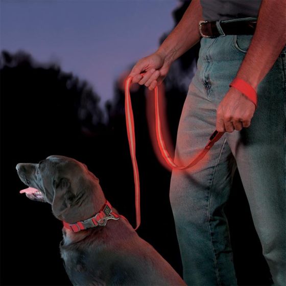 .Nite Dawg LED Lead 