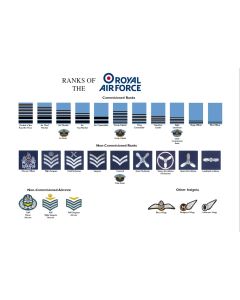 A3 Ranks of the Royal Air Force RAF Poster
