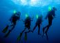 8 Hour 6” SnapLight (15cm) lightstick (Cyalume® Branded) diving