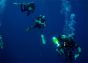 8 Hour 6” SnapLight (15cm) lightstick (Cyalume® Branded) diving