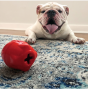 Spotnik Rocket Man Chew Toy & Treat Dispenser