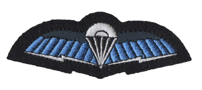 SF Communicator Wings RAF