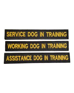 Dog-in-training-patches