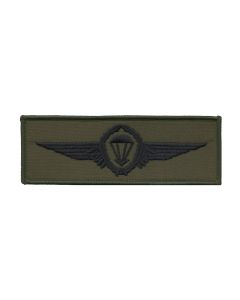 German Para Wings