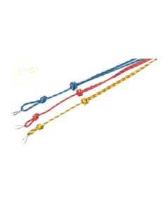 Multicoloured Lanyards by Bisley