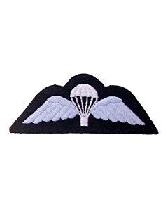 Royal Air Force Para Wings