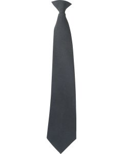 Security Clip On Tie