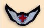 RAF Medical Technician's Wings