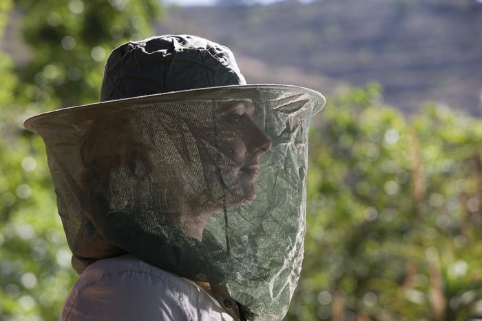 Care Plus Pop-up Headnet