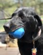 industrial-dog-double-trouble-dog-toy