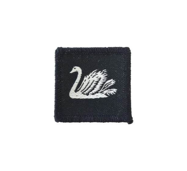 30-Signal-trf-main
