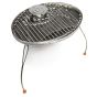 BioLite Portable Grill 