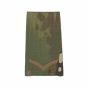 Bronze-RS-LCPL