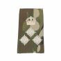 ivory-on-mtp-all-rank-slides-Brig