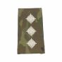 ivory-on-mtp-all-rank-slides-CPT