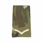 ivory-on-mtp-all-rank-slides-LCPL