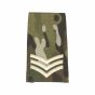 ivory-on-mtp-all-rank-slides-SGT