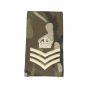 ivory-on-mtp-all-rank-slides-SSGT