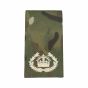 ivory-on-mtp-all-rank-slides-WO2RQMS
