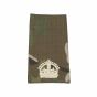 ivory-on-mtp-all-rank-slides-WO2