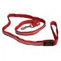 Nite Dawg LED Lead 