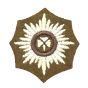 Irish Guards Rank Star