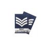 Pair RAFAC NCO SNCO WO Rank Slides KINGS CROWN 