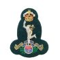 Royal-Signals-Officers-Wire-Embroided-Cap-Beret-Badge-Kings-Crown-Commando-Green