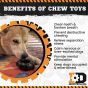 sodapup-black-tyre-benefits-of-chew-toys-sheet