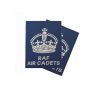Pair RAFAC NCO SNCO WO Rank Slides KINGS CROWN 